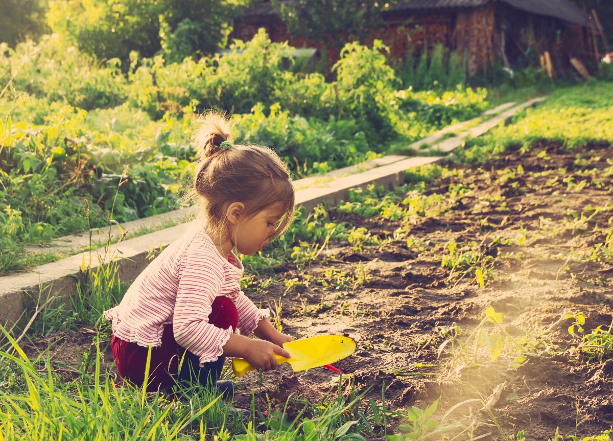 A young girl digs in dirt in the garden