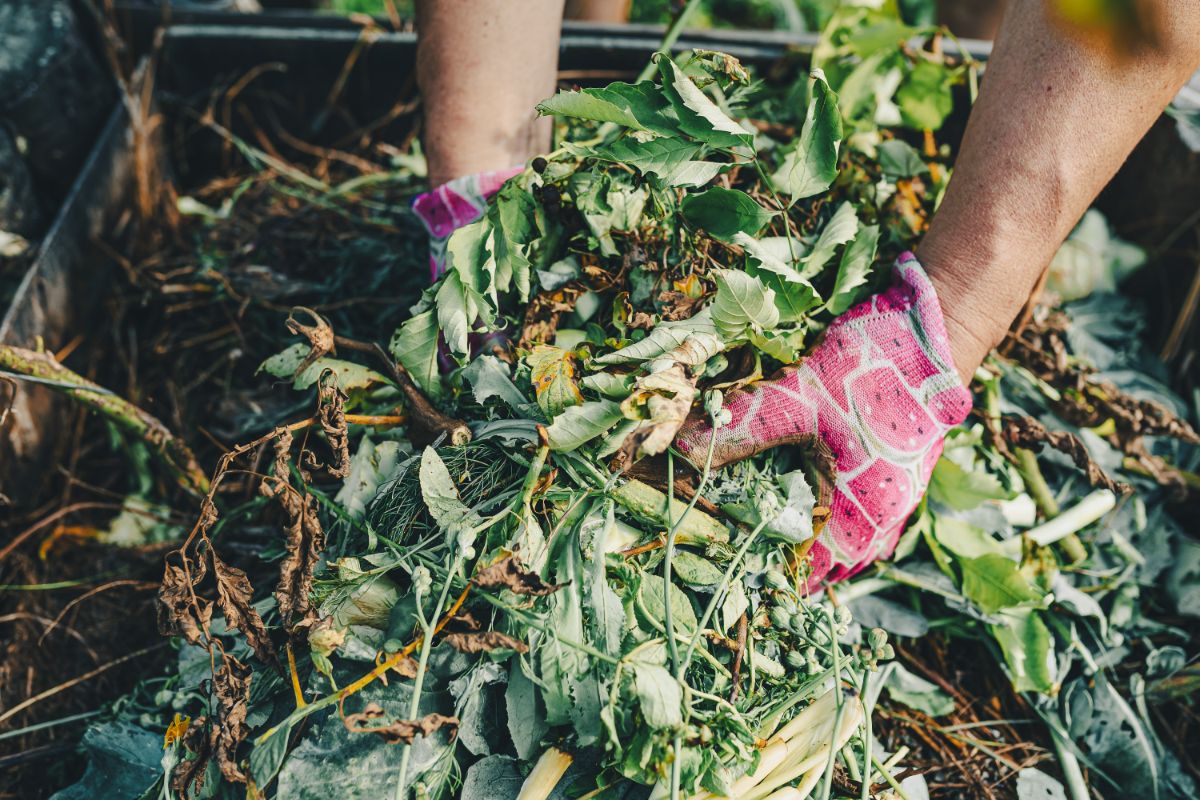 A home compost bin being tended