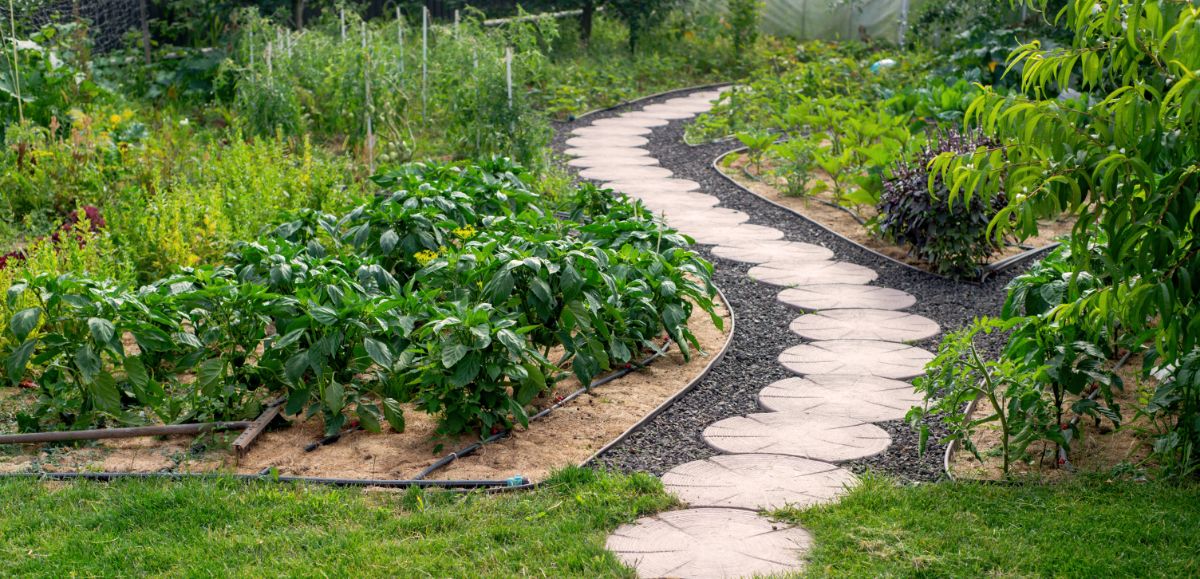 A well designed garden walkway