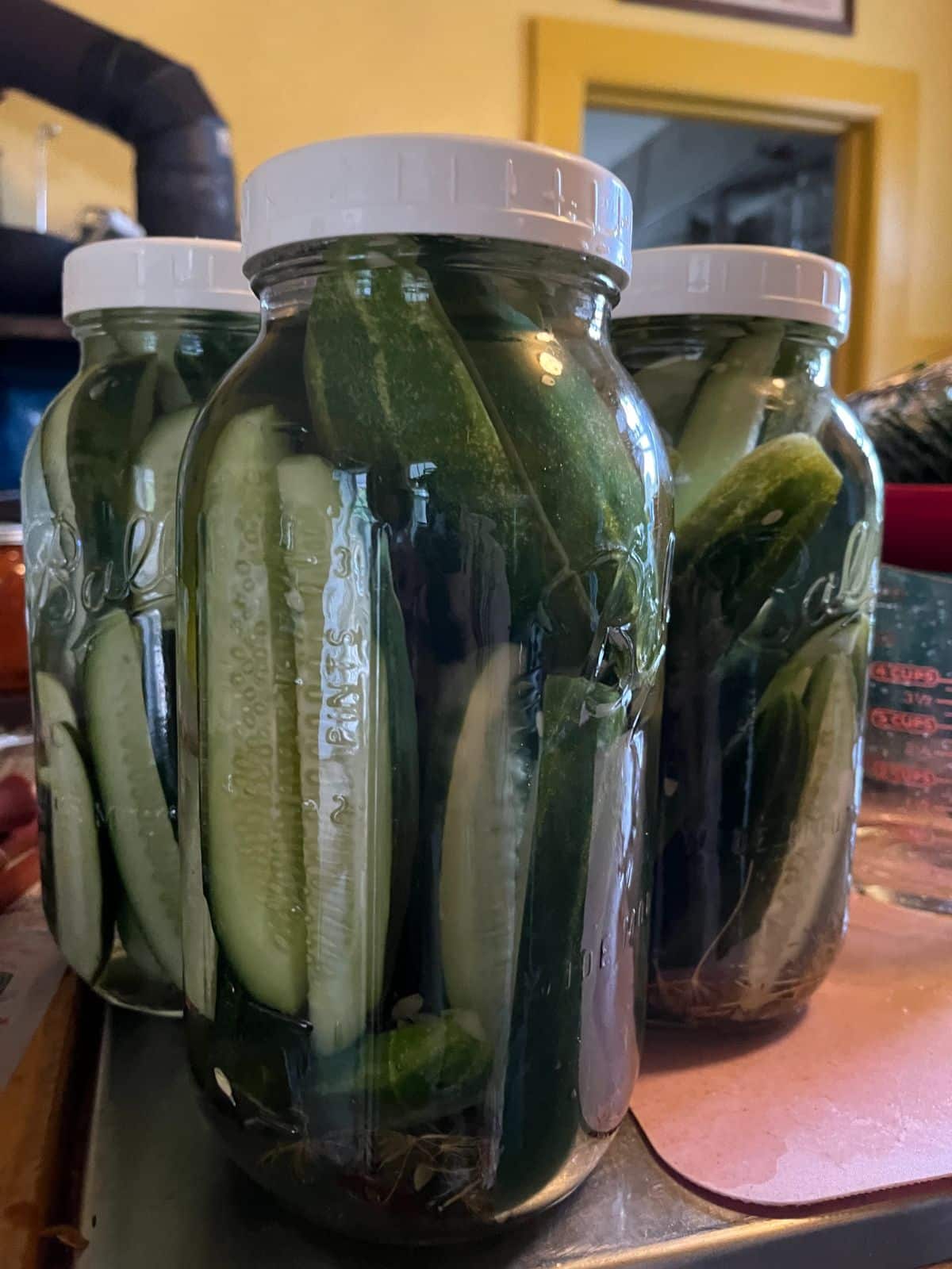 Making pickles for my GIANT pickle jar! Come see this bad boy in actio