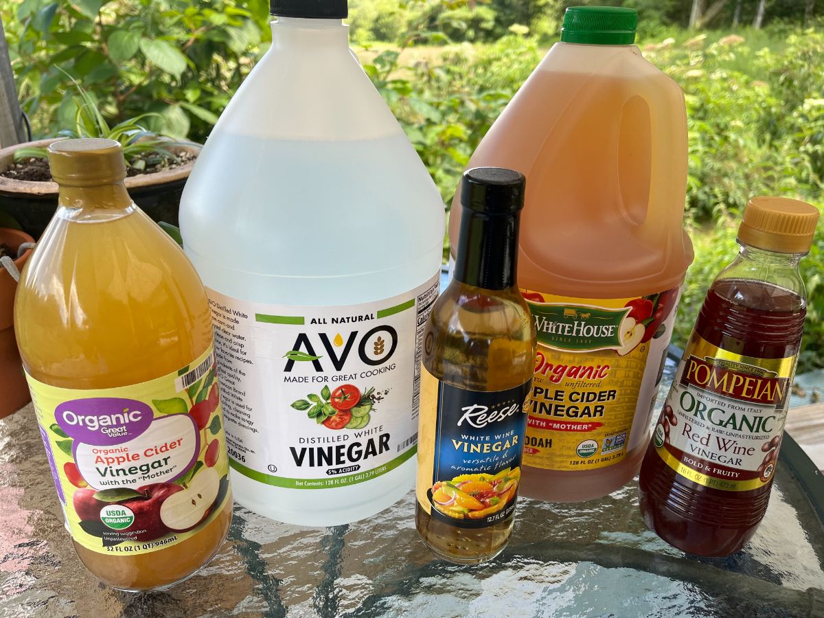A variety of vinegars for pickling
