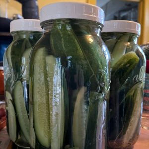 Three glass jars of homemade pickles.
