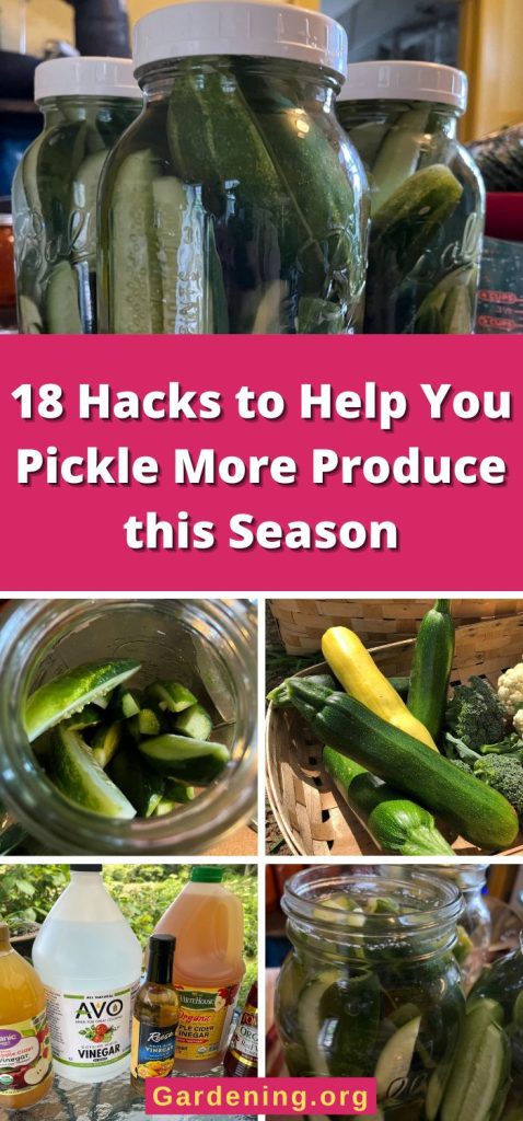 18 Hacks to Help You Pickle More Produce this Season pinterest image.