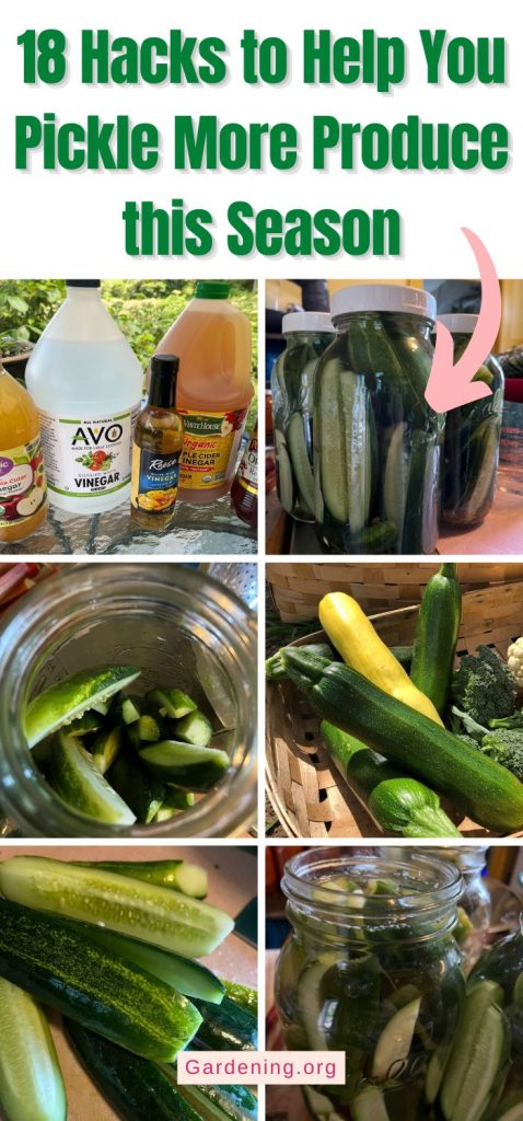 18 Hacks to Help You Pickle More Produce this Season pinterest image.