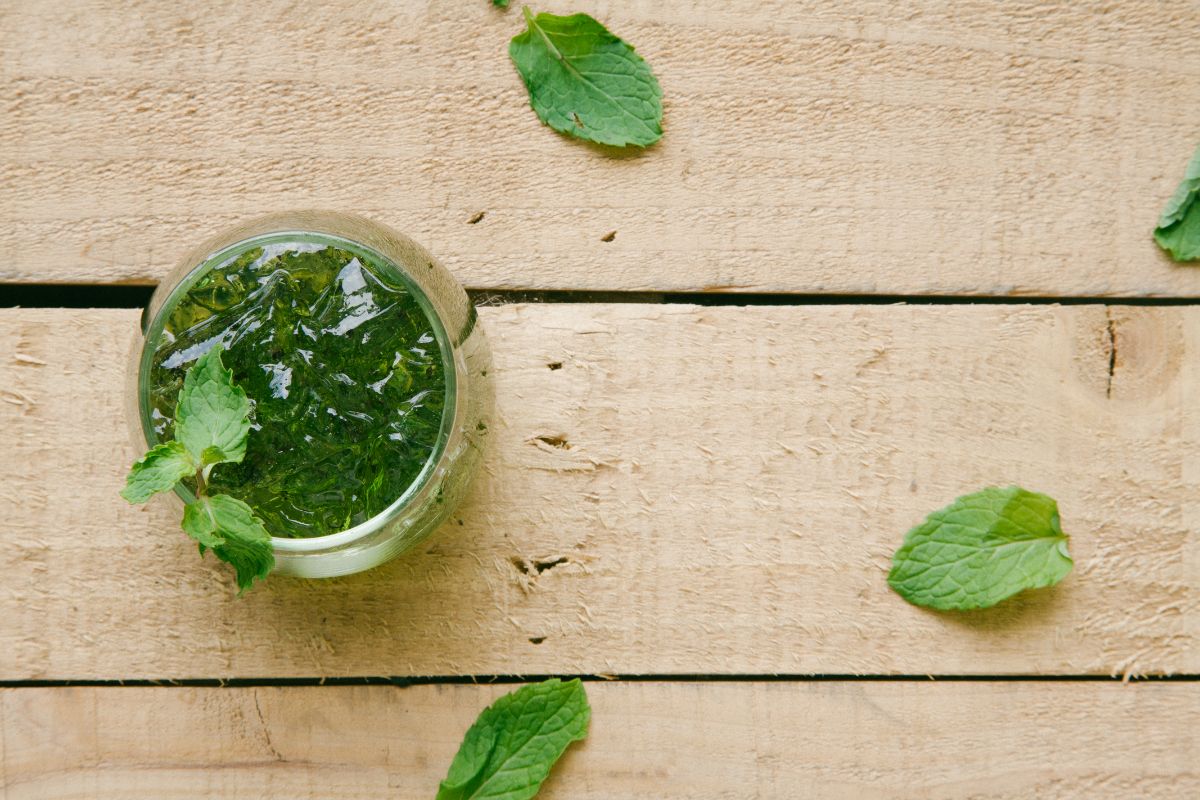 Fresh mint leaves next to bright green mint jelly