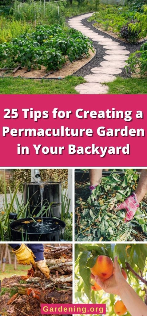 25 Tips for Creating a Permaculture Garden in Your Backyard pinterest image.