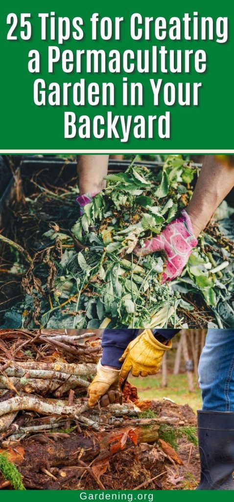 25 Tips for Creating a Permaculture Garden in Your Backyard pinterest image.