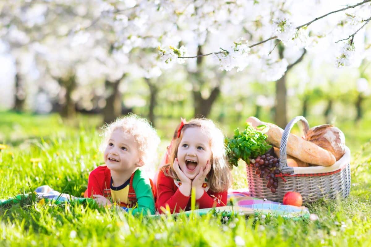Children enjoy picnicking in a garden