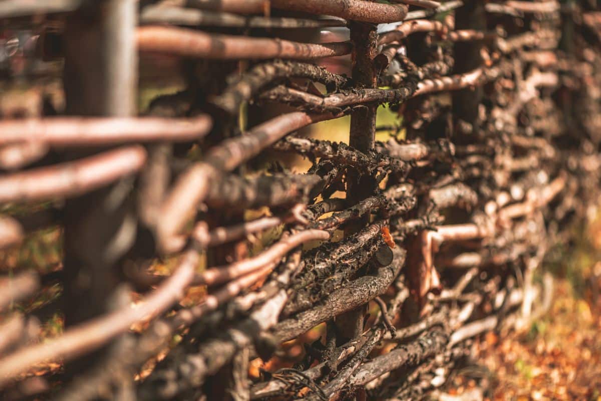 A dead hedge fence made from natural tree materials