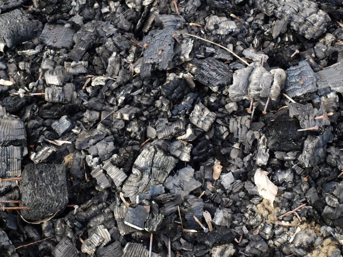 Burned biochar 