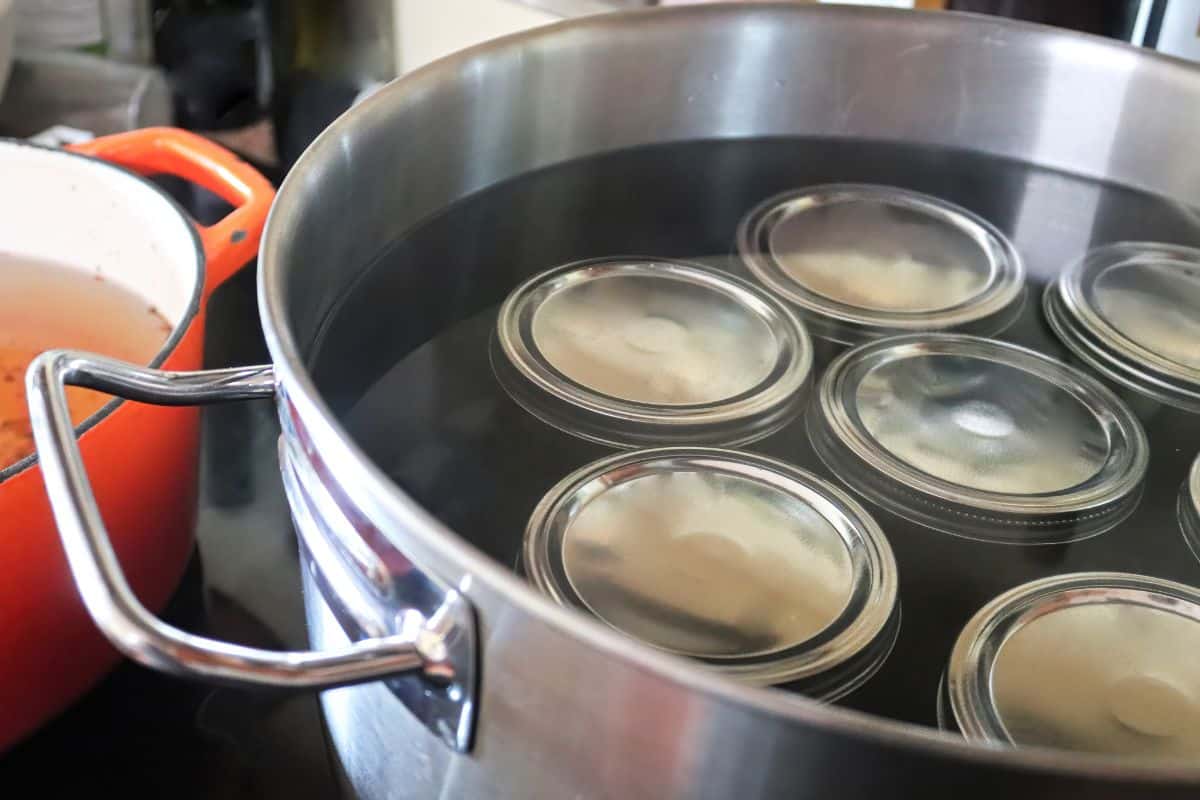 Jars of mint jelly under water in a boiling water bath canner