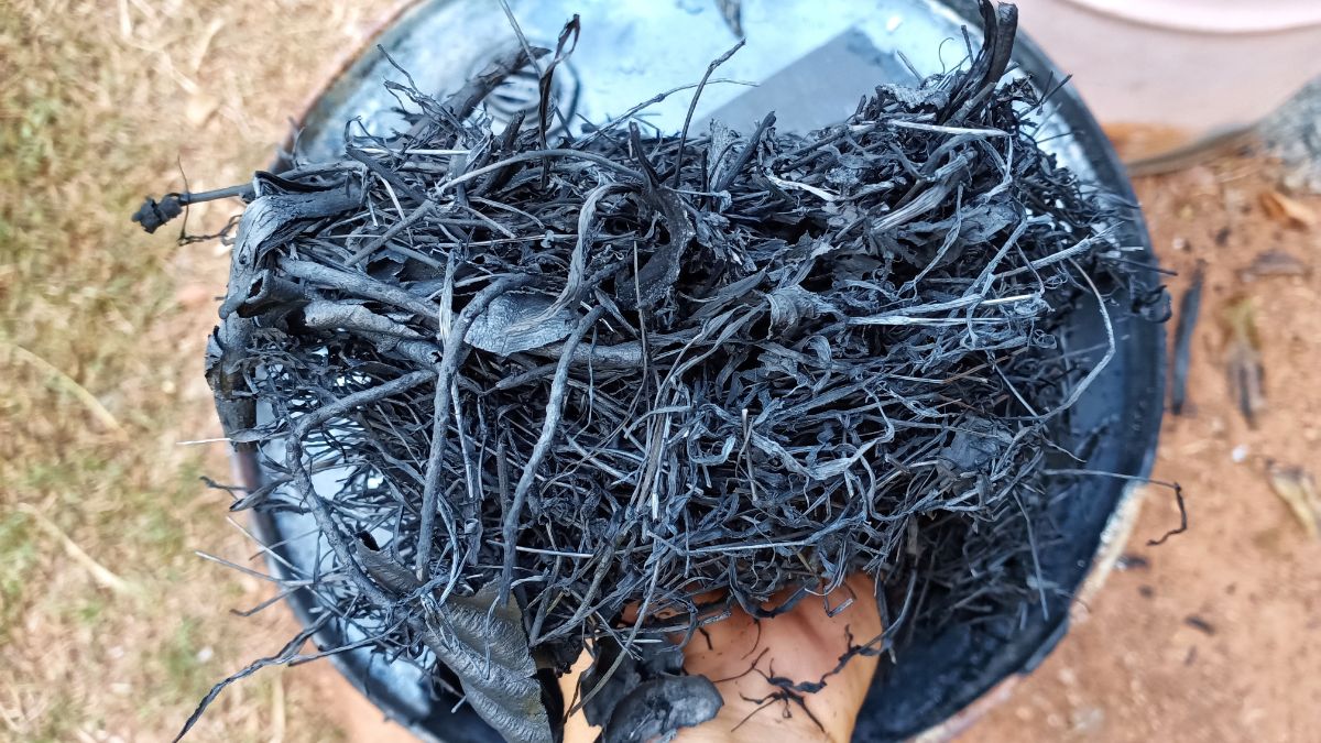 Homemade biochar for the garden