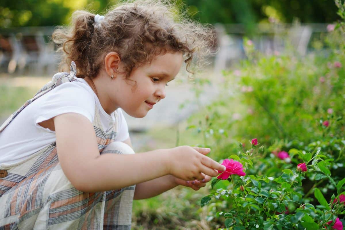 A girl identifies plants i a garden