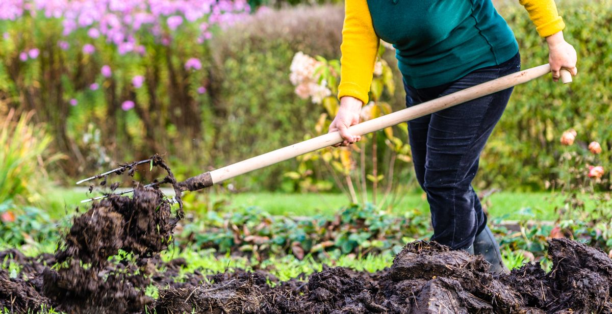 A gardener applying compost in the fall
