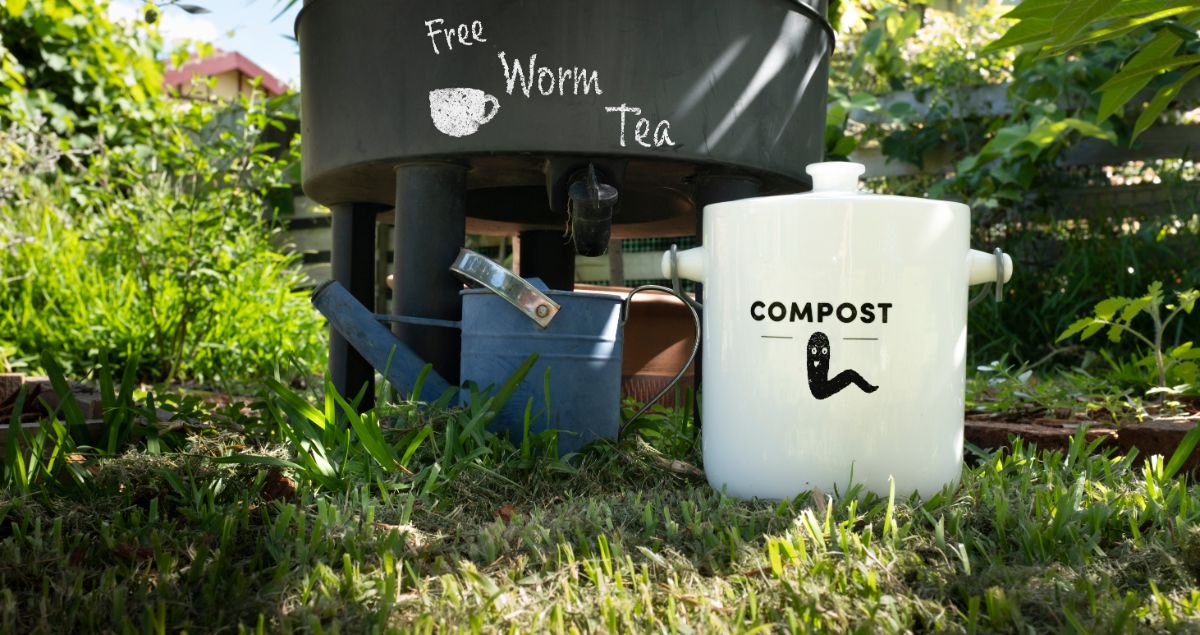 Compost tea from vermicomposting
