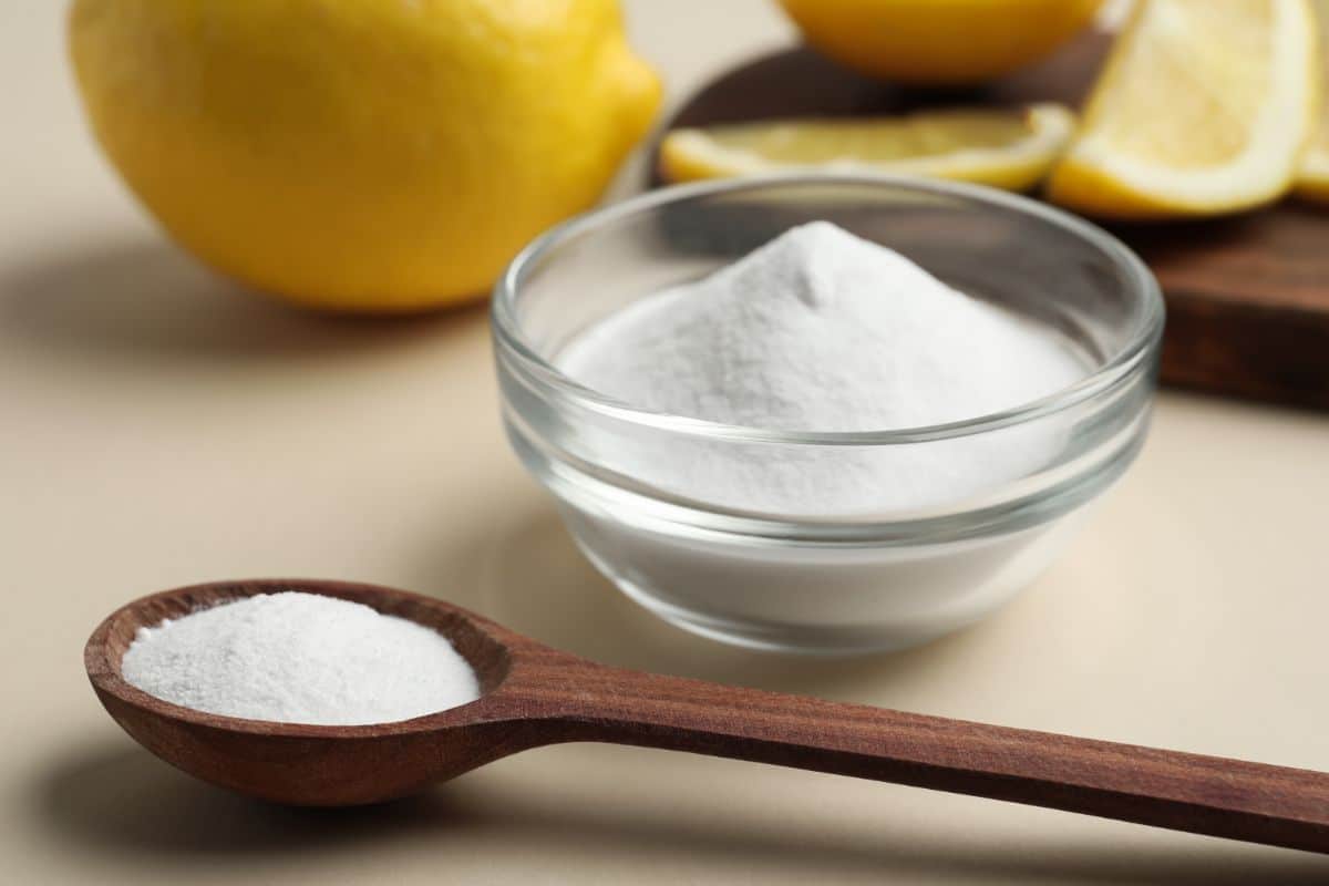 Baking soda and lemon scrub ingredients for gardeners hands