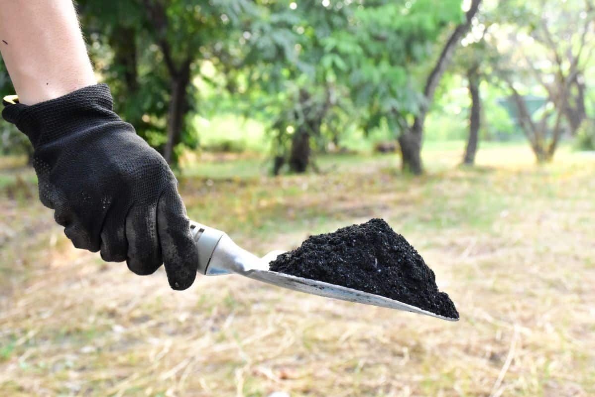 Finely burned biochar