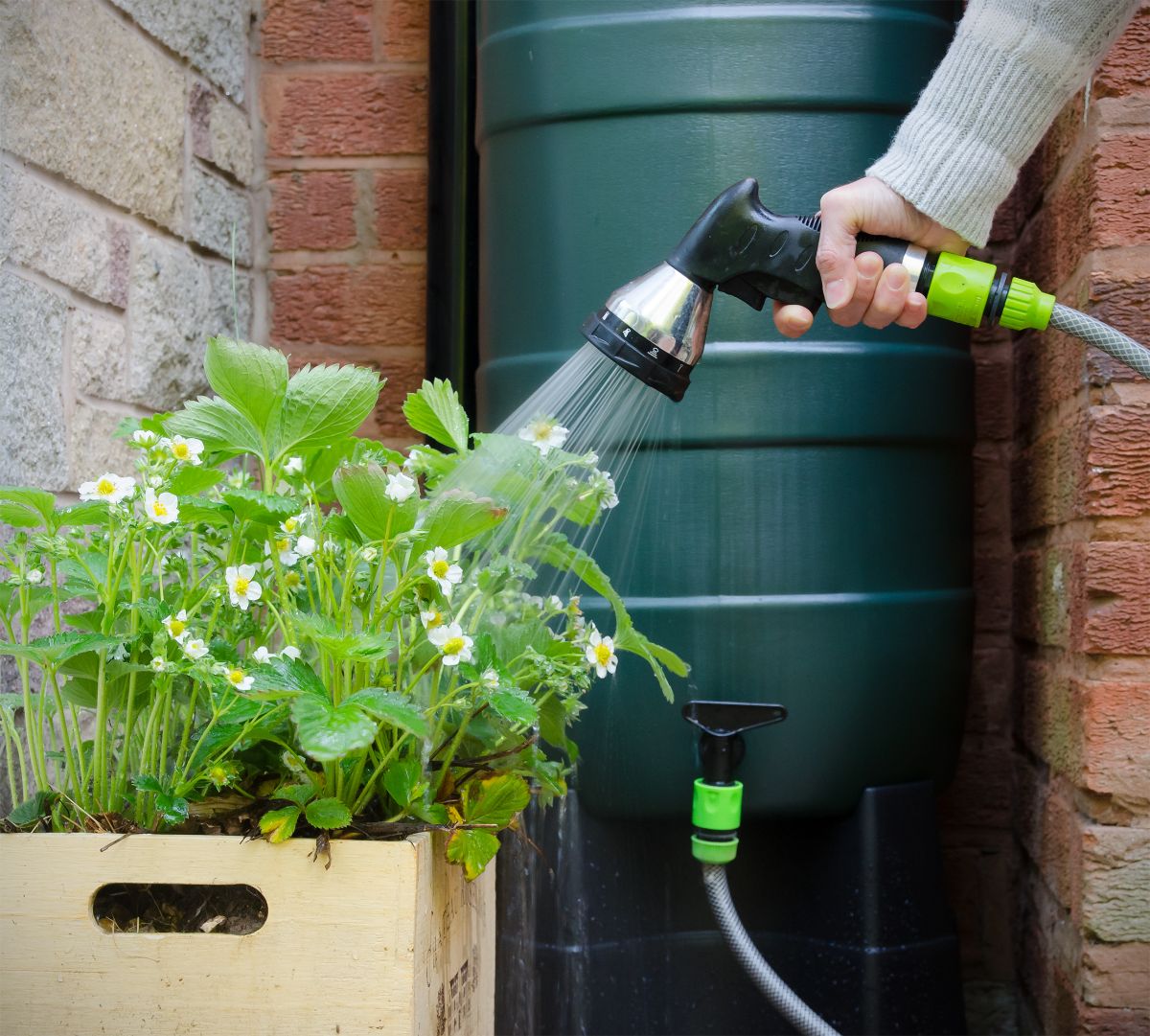 A rain barrel capturing a natural resource for garden watering.
