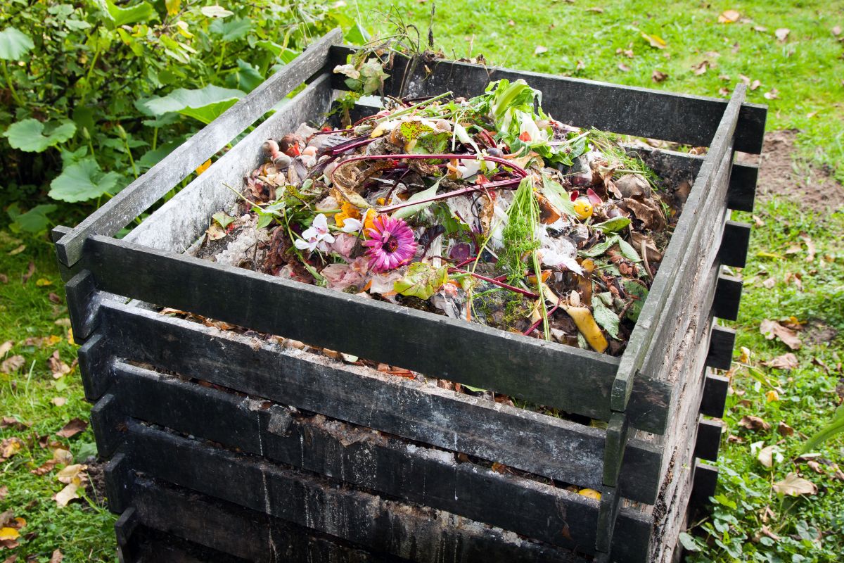 A compost bin to reduce garden waste