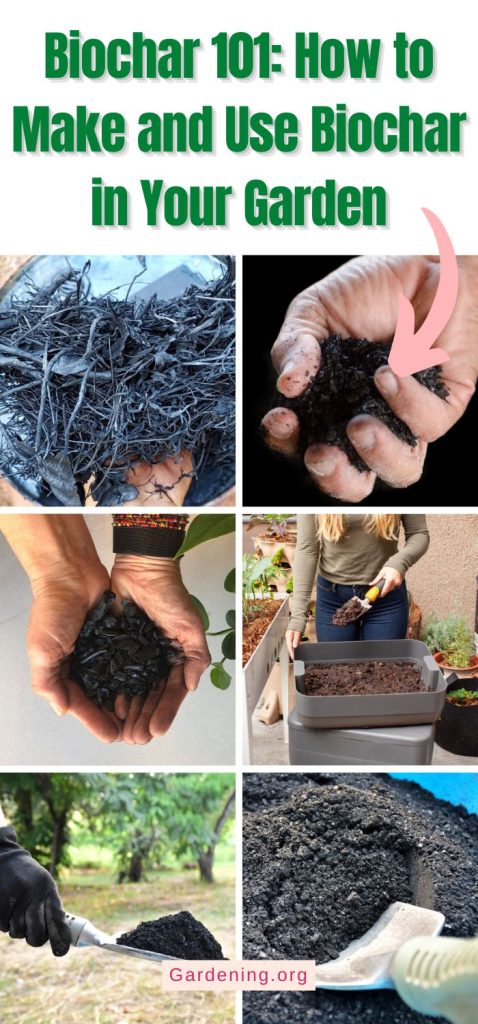 Biochar 101: How to Make and Use Biochar in Your Garden pinterest image.