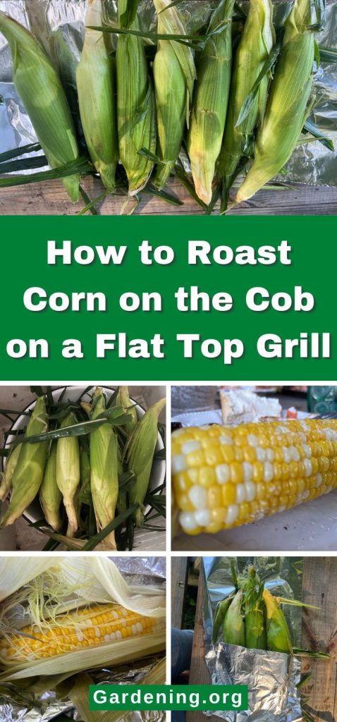 How to Roast Corn on the Cob on a Flat Top Grill pinterest image.
