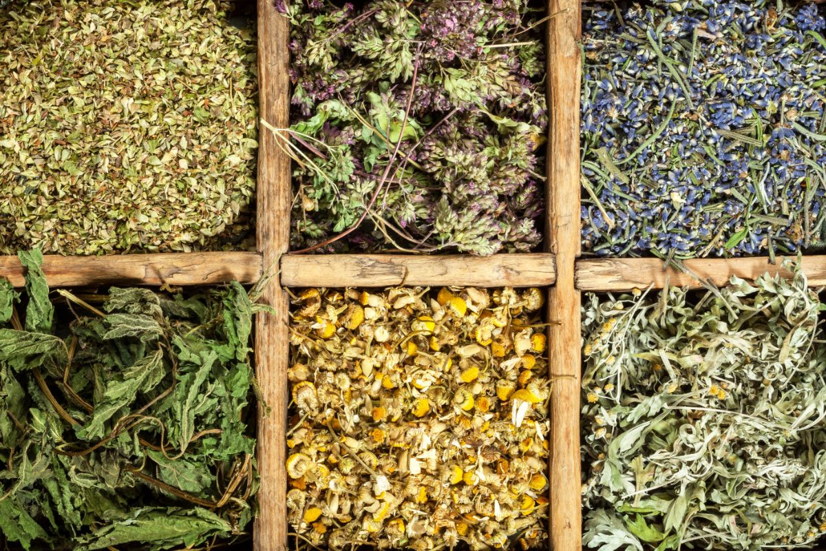 A variety of dried homegrown herbs