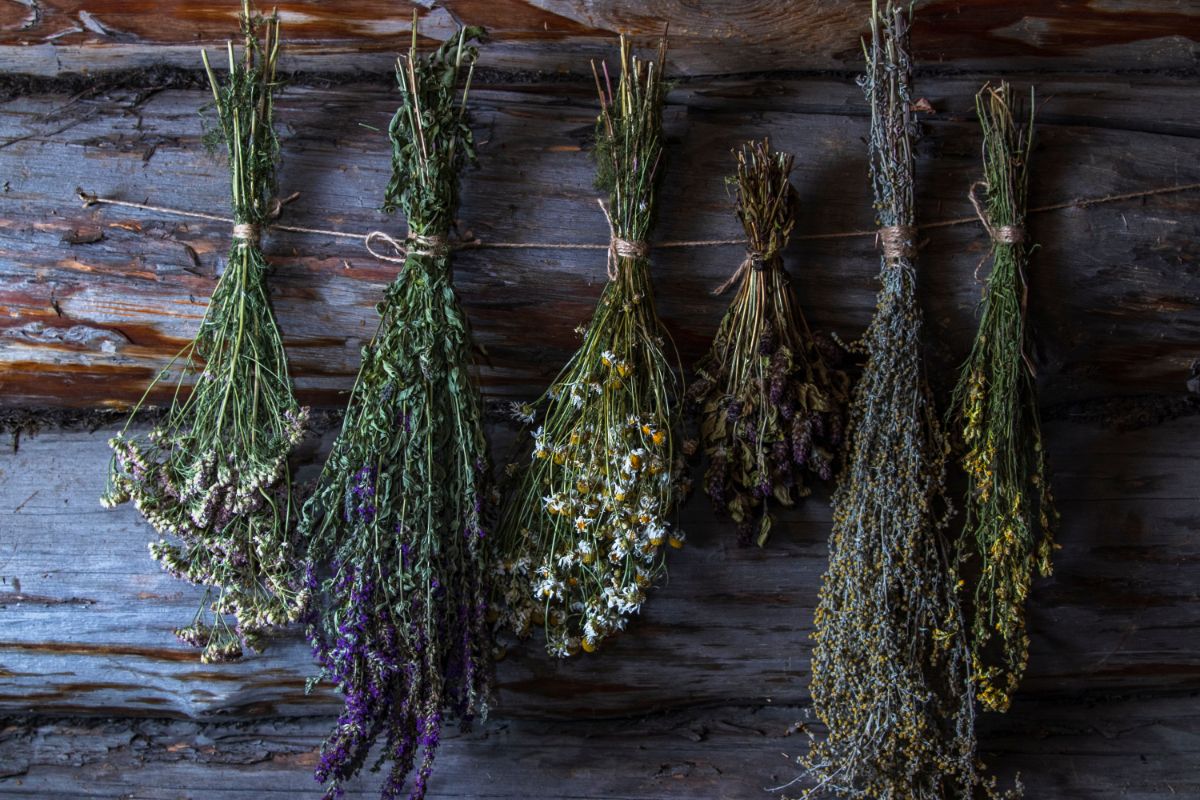 Bundles of hanging dried herbs