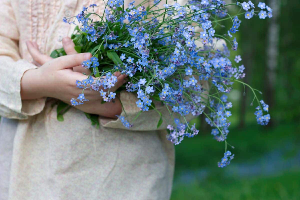 A woman holding a bouquet of small blue flowers