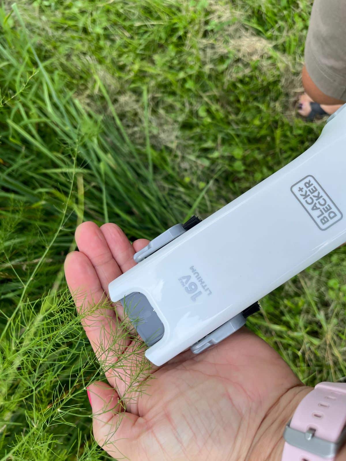 A gardener vacuums insects off asparagus plants