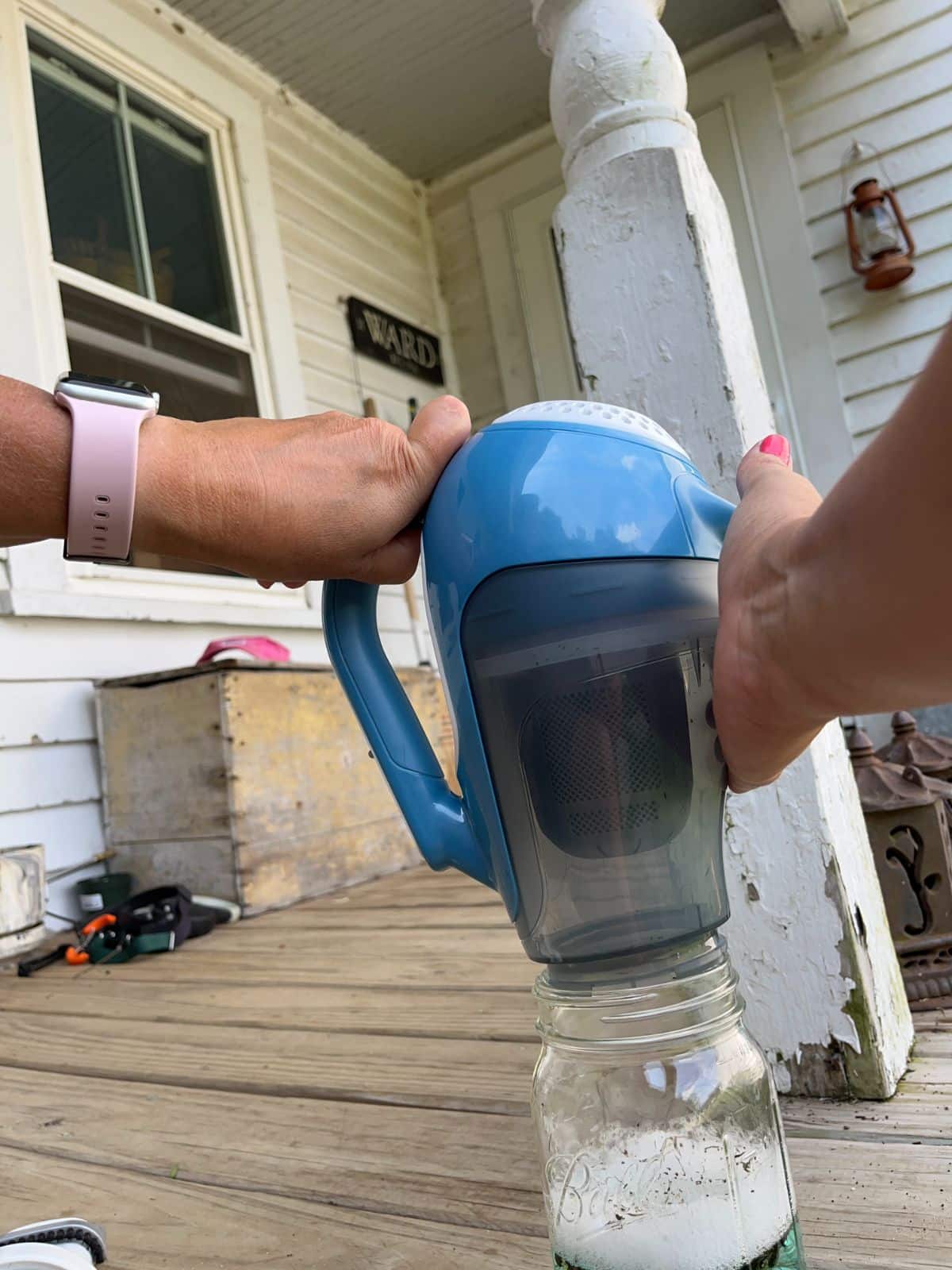 Collected insects being dumped into a jar of soapy water to kill them