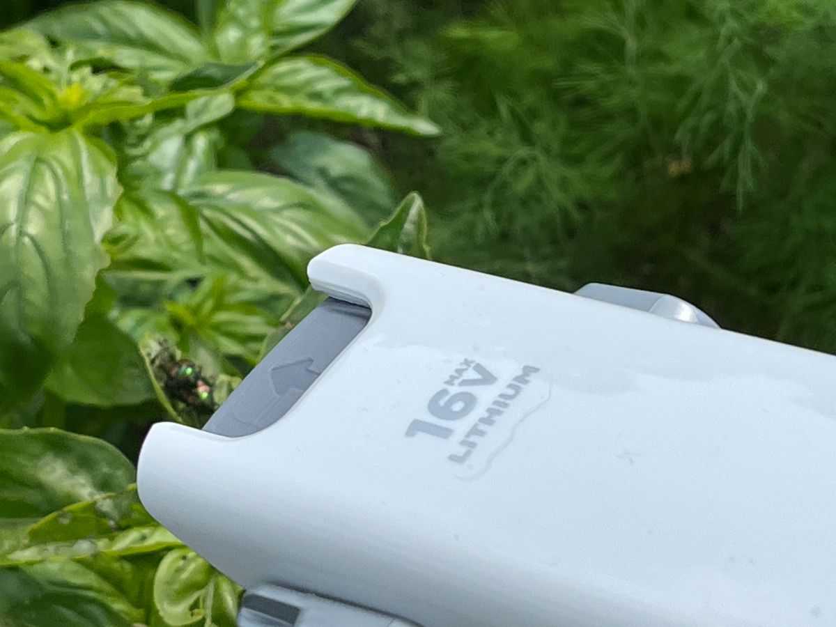 Japanese beetles being sucked into a Dustbuster vacuum