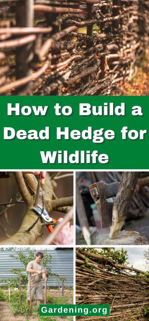 How to Build a Dead Hedge for Wildlife pinterest image.