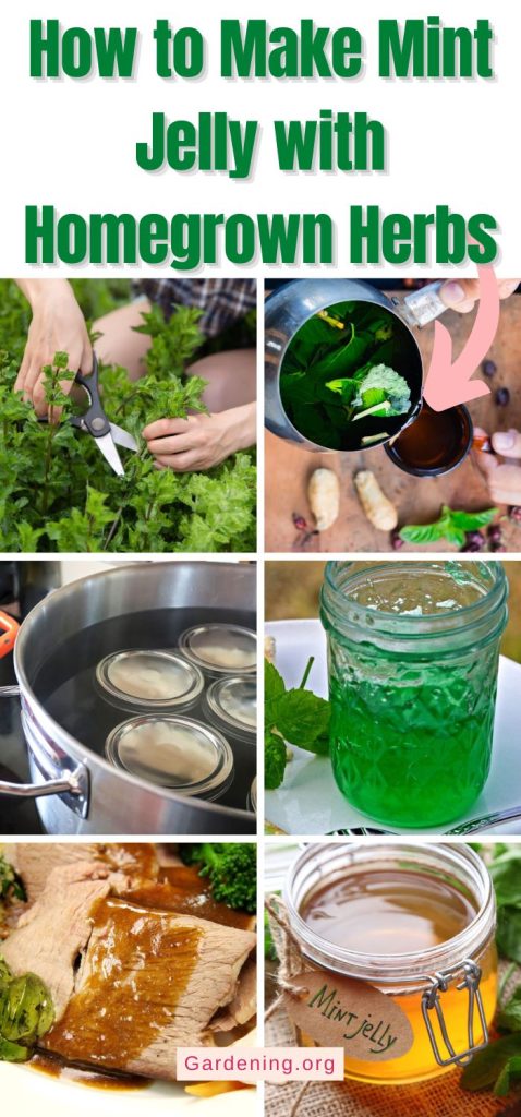 How to Make Mint Jelly with Homegrown Herbs pinterest image.