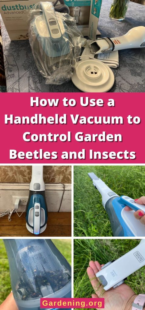 How to Use a Handheld Vacuum to Control Garden Beetles and Insects pinterest image.