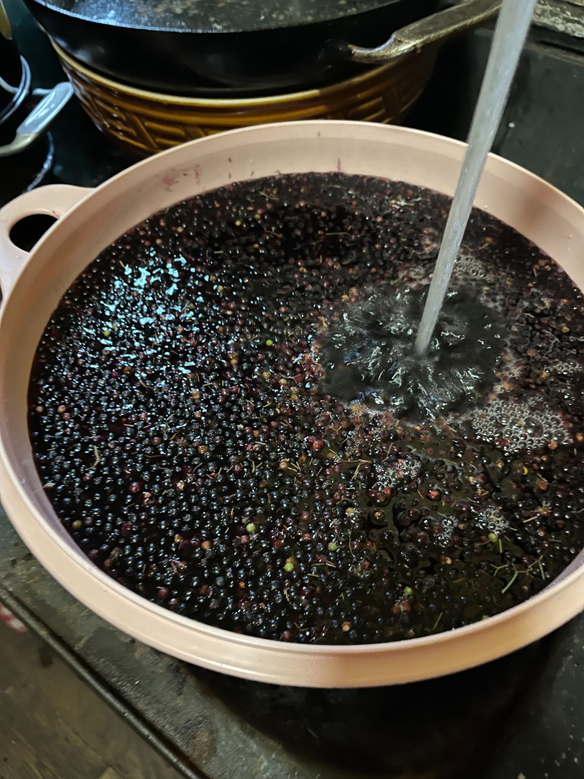 A large bowl of destemmed elderberries being washed