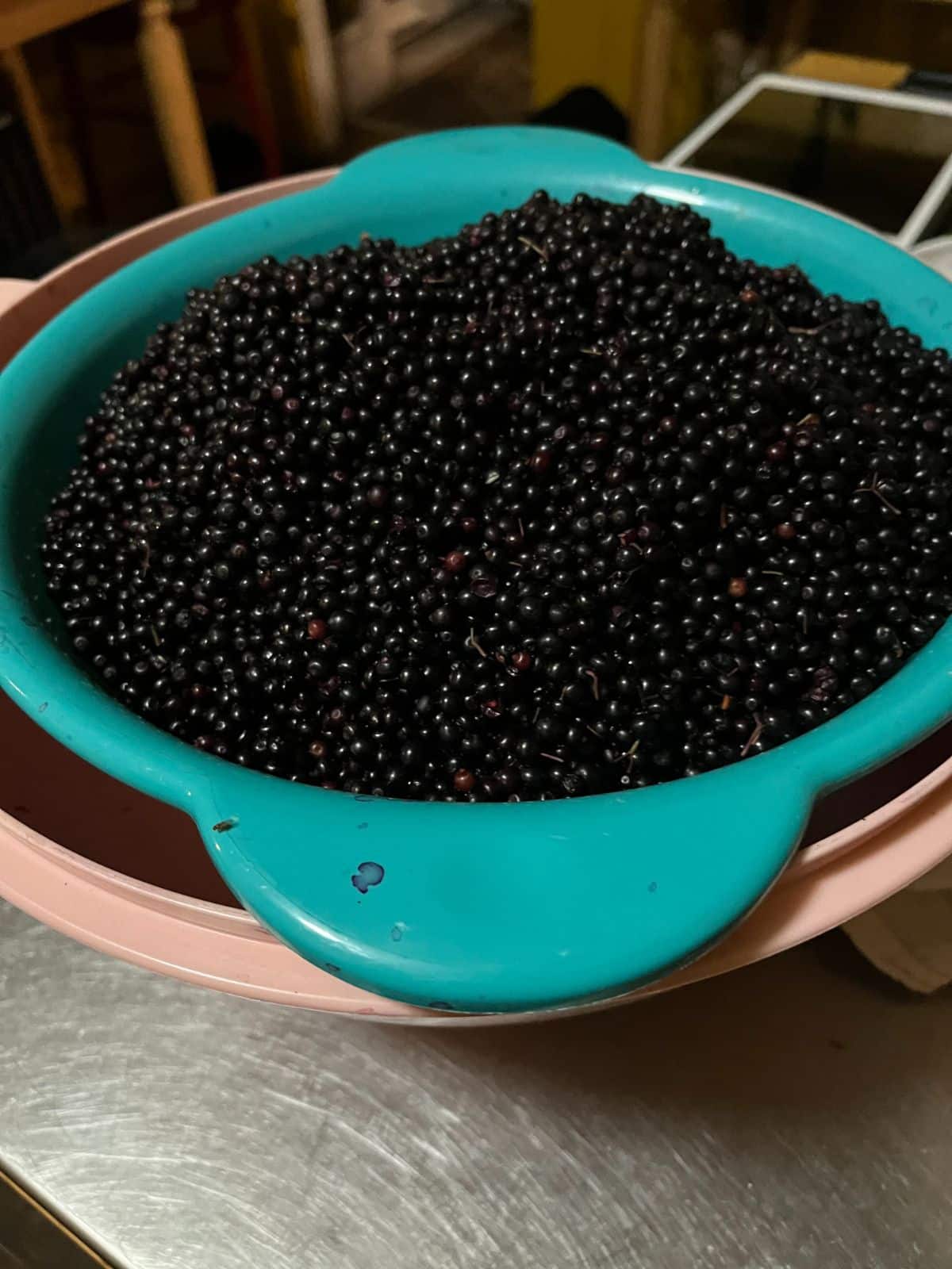 Clean elderberries ready to freeze