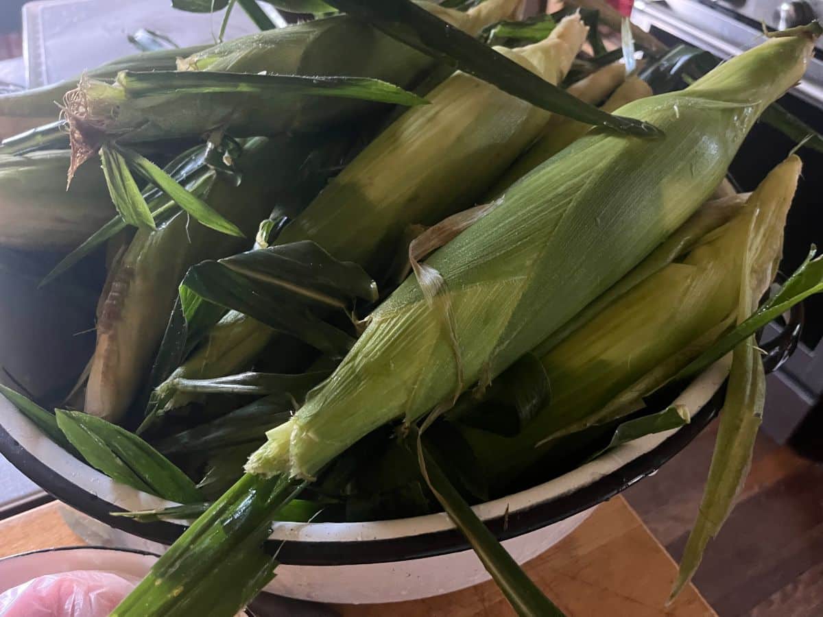 soaked ears of husk-on corn