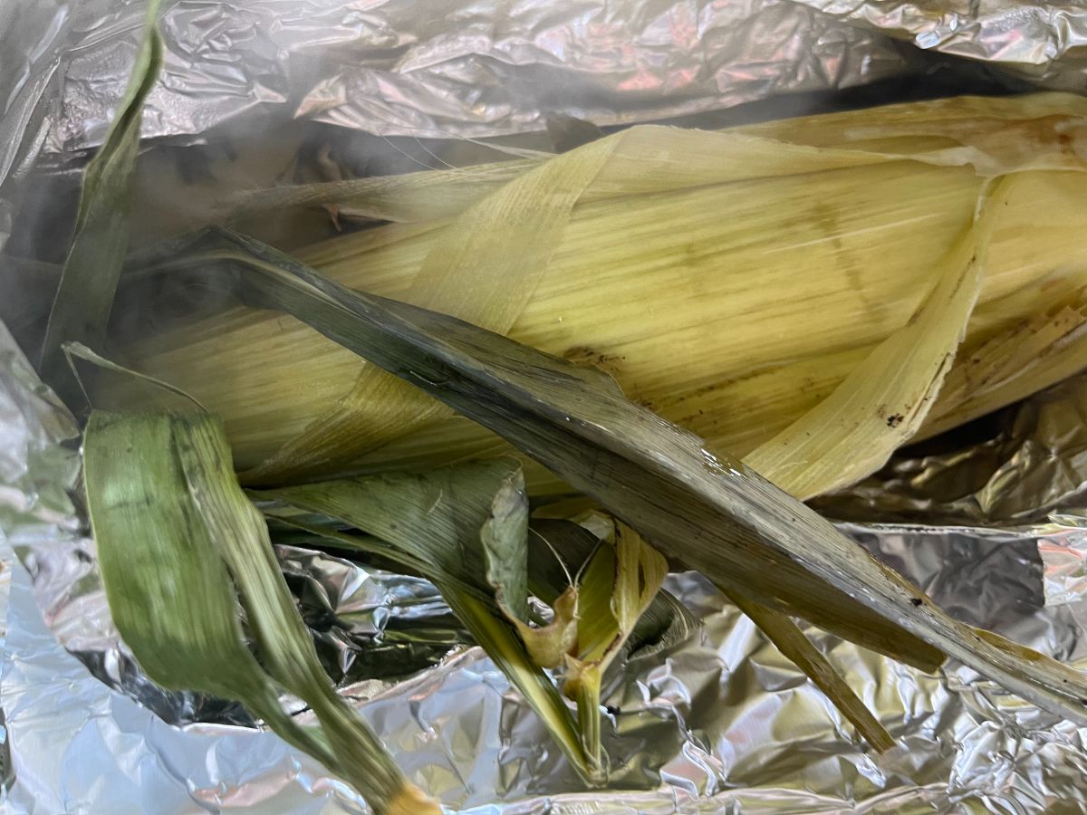 A steam roasted ear of corn cooked on a flat grill