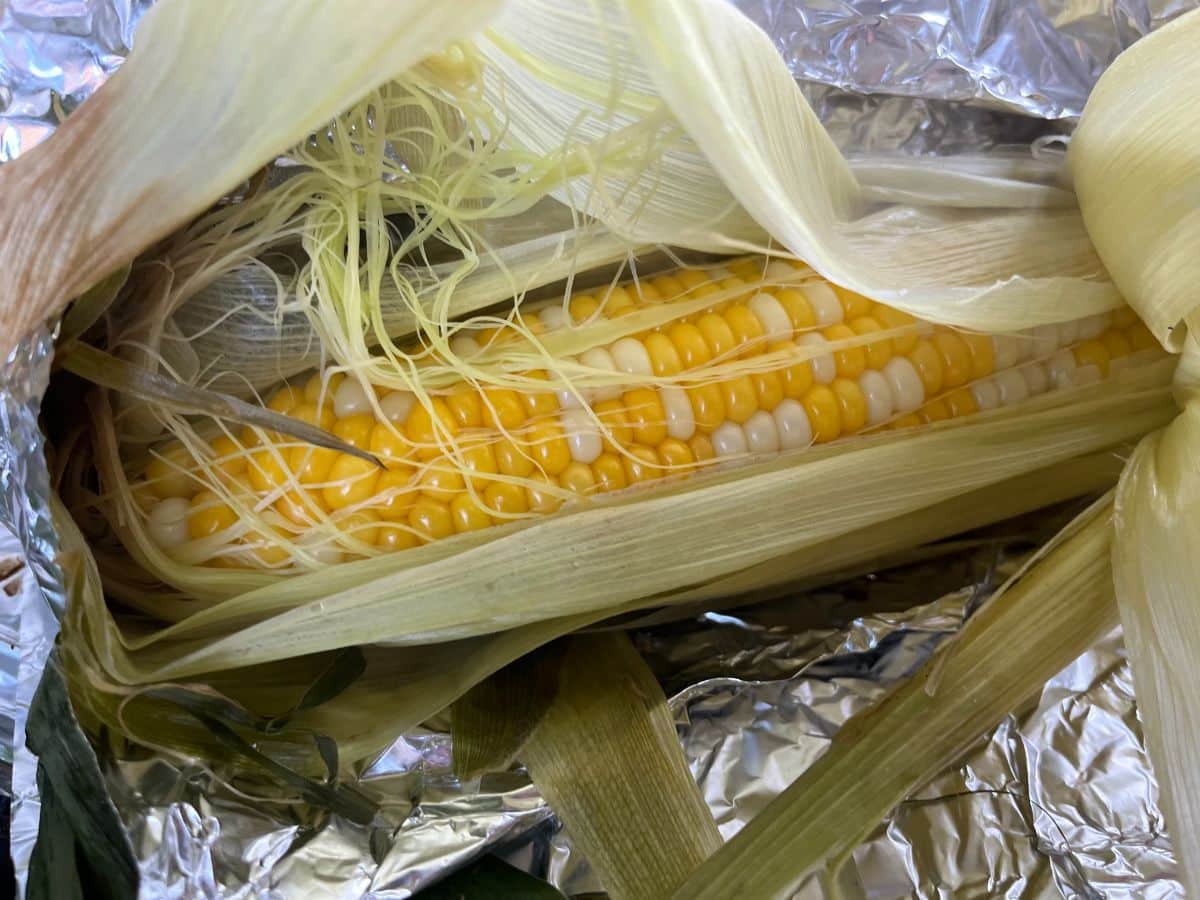 A lovely ear of fresh corn cooked on the flat grill