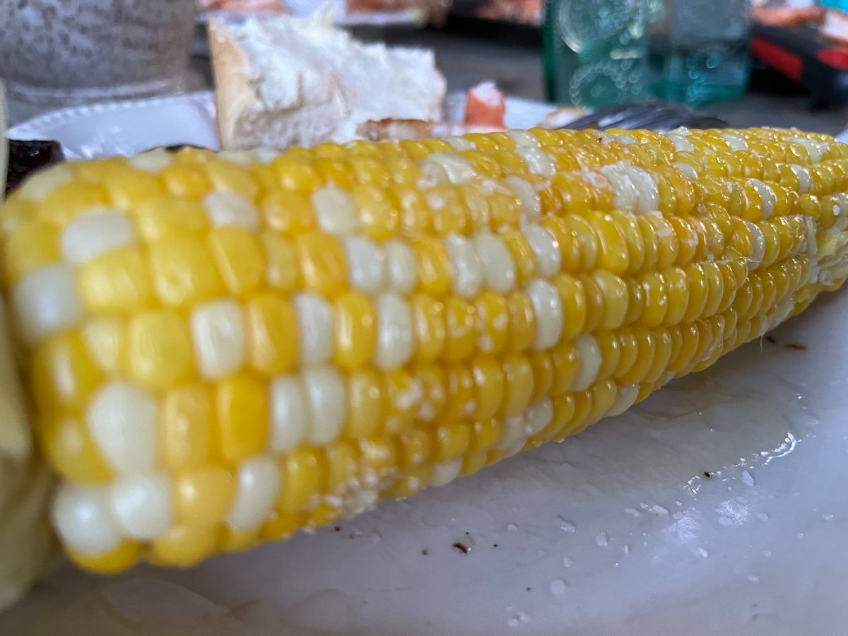 An ear of bright yellow corn on the cob cooked on a flat top grill