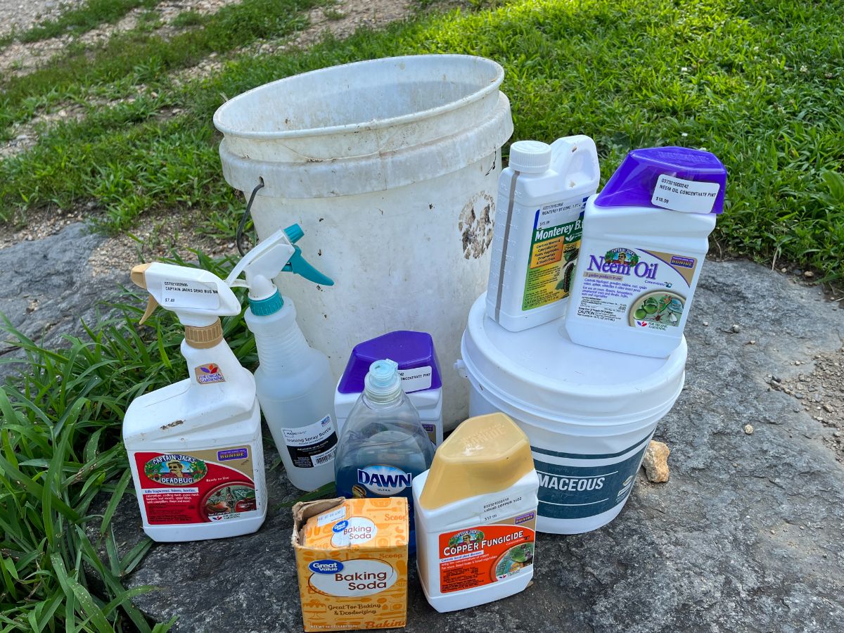 A collection of essential organic gardening supplies