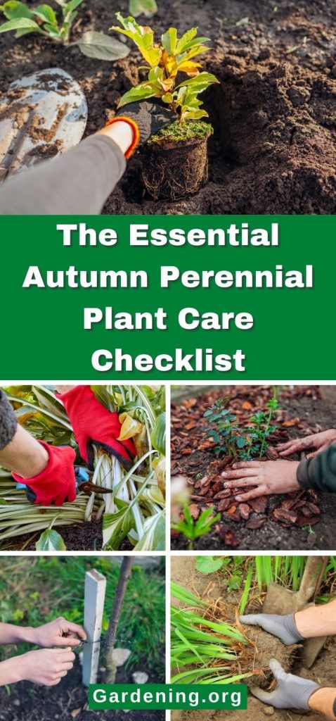 The Essential Autumn Perennial Plant Care Checklist pinterest image.