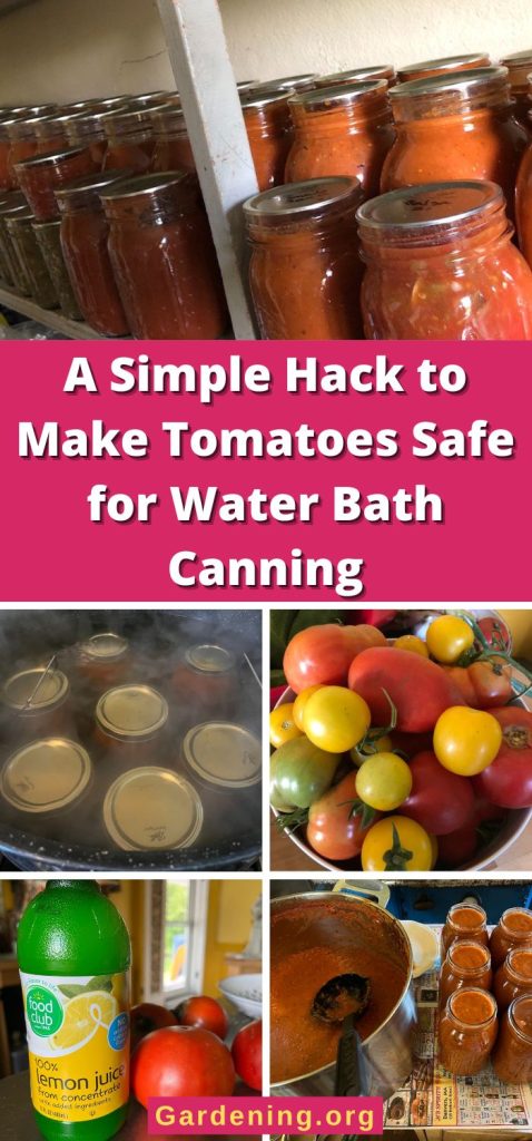 A Simple Hack to Make Tomatoes Safe for Water Bath Canning pinterest image.