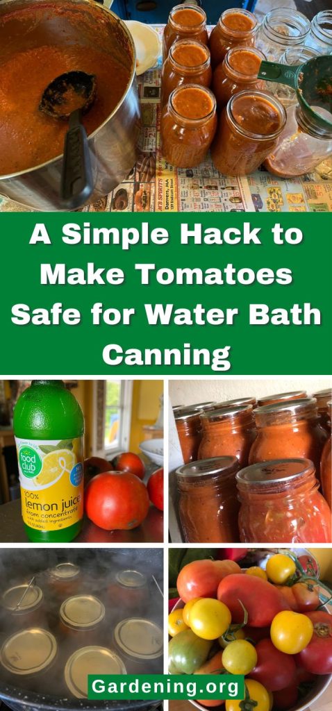A Simple Hack to Make Tomatoes Safe for Water Bath Canning pinterest image.