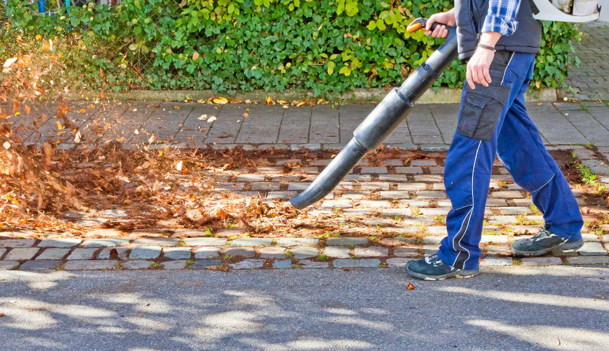 A person cleans a walkway with a leaf blower