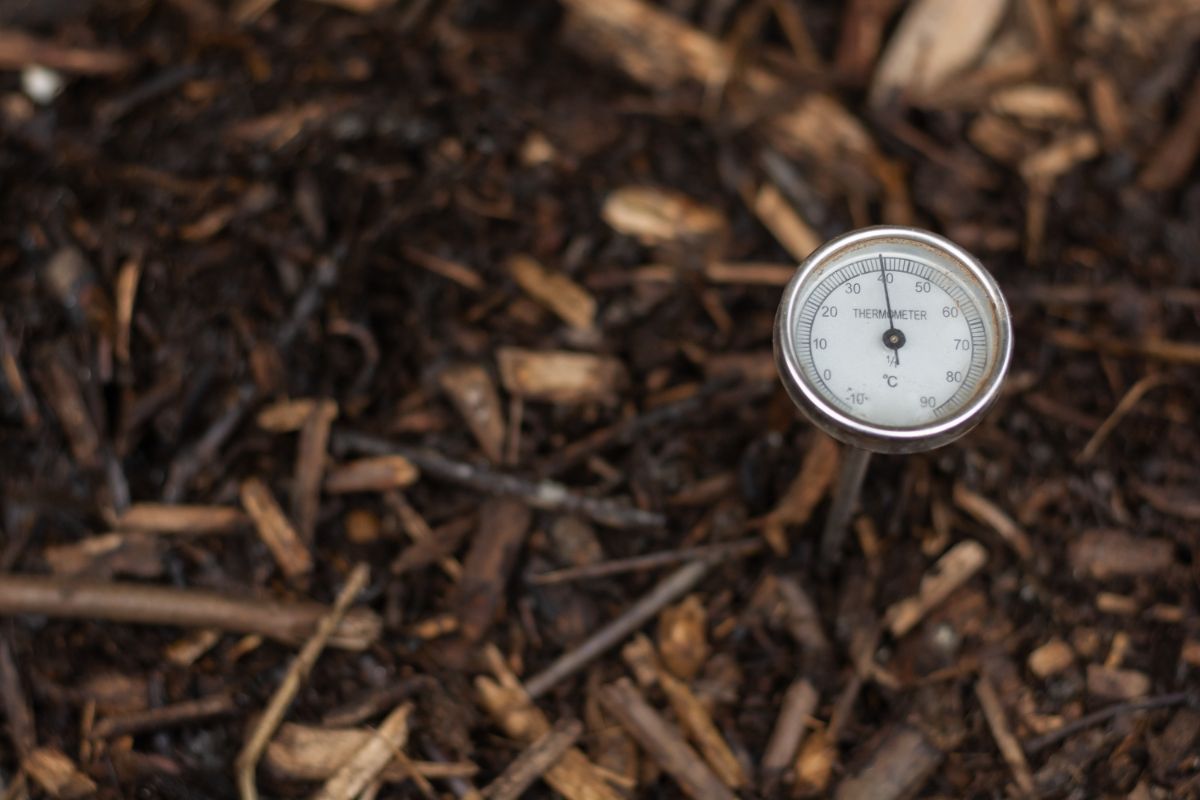 Heat treating wood mulch