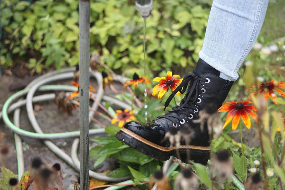 A gardener rinsing their boots