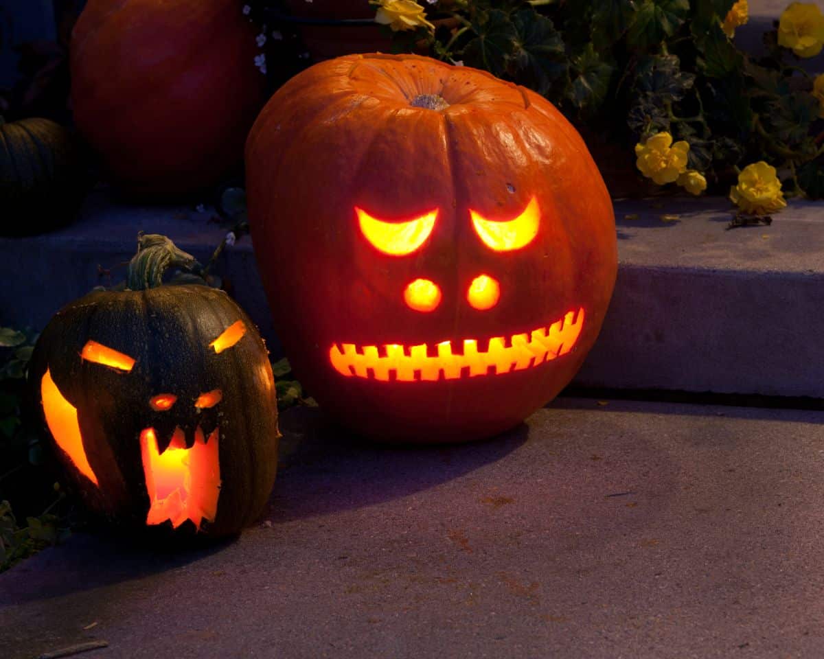 Carved and lit up Halloween pumpkins