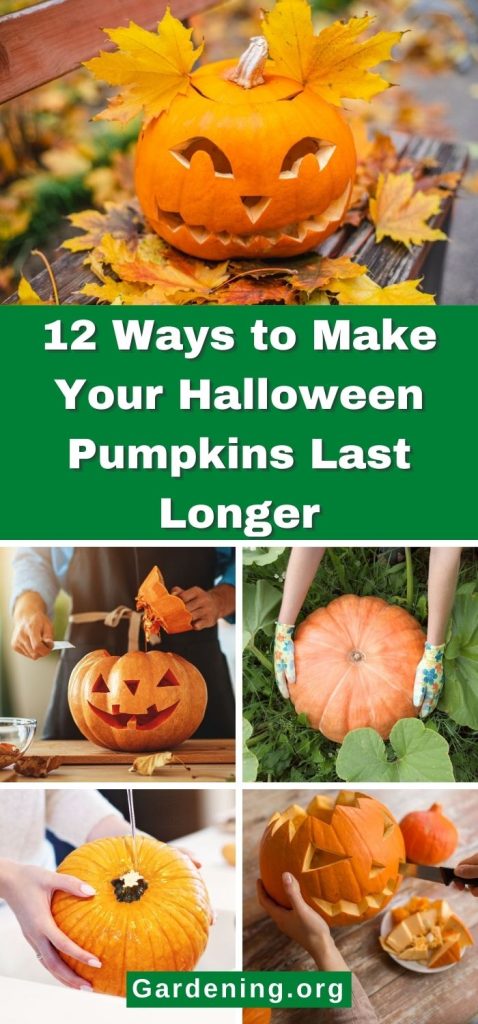 12 Ways to Make Your Halloween Pumpkins Last Longer pinterest image.