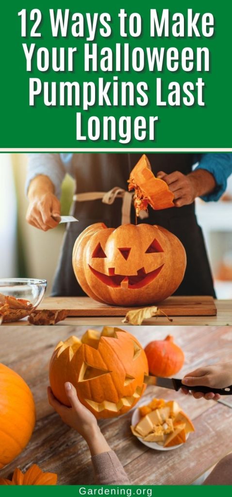 12 Ways to Make Your Halloween Pumpkins Last Longer pinterest image.